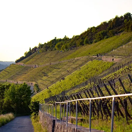 Apartment Weingut Leininger