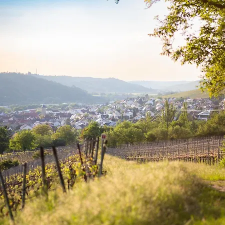 Weingut Leininger