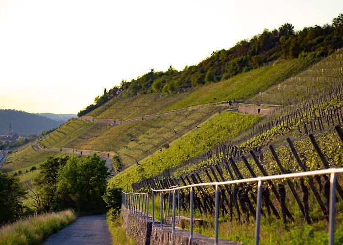 Appartement Weingut Leininger